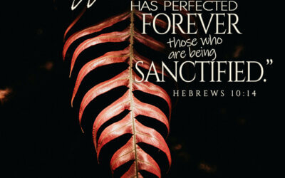 Hebrews 10:14