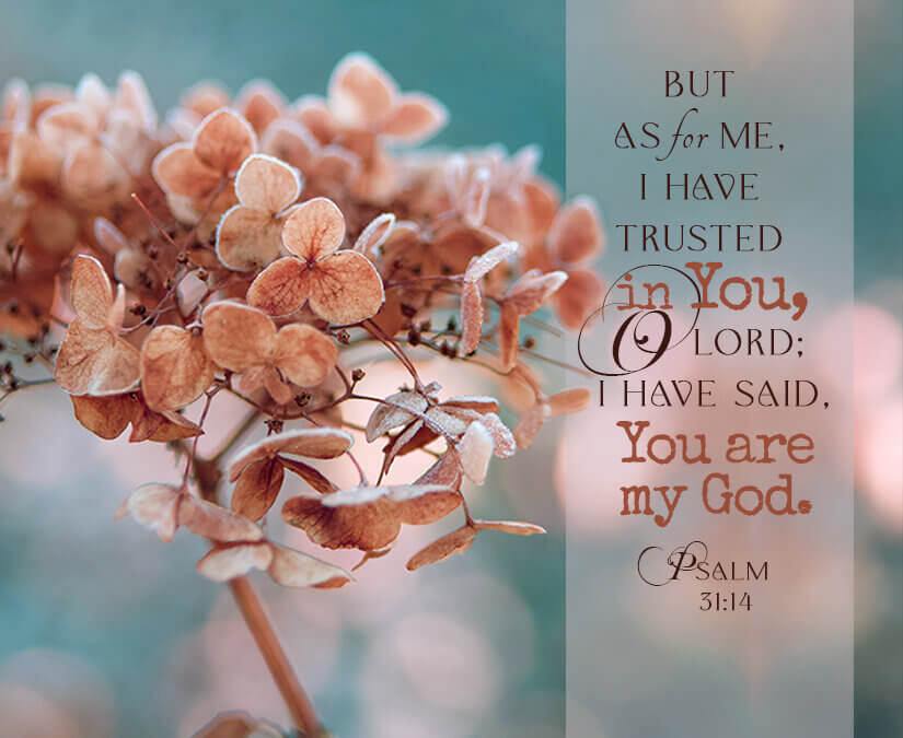 Psalm 31:14