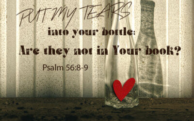 Psalm 56:8