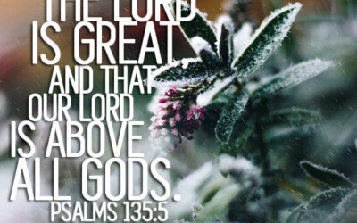 Psalms 135:5