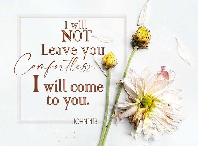 John 14:18