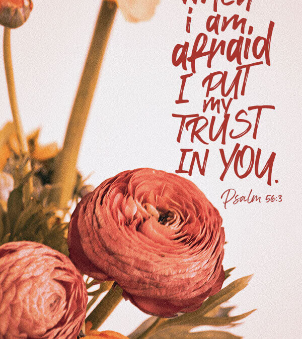 Psalm 56:3