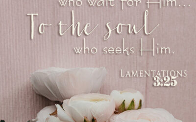 Lamentations 3:25