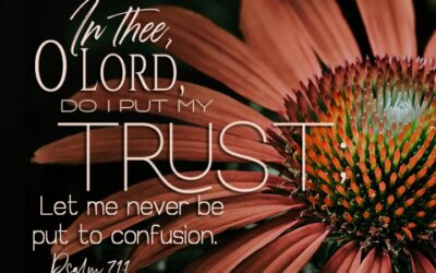 Psalm 71:1