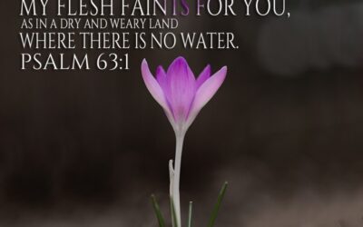 Psalm 63:1