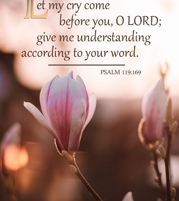 Psalm 119:169