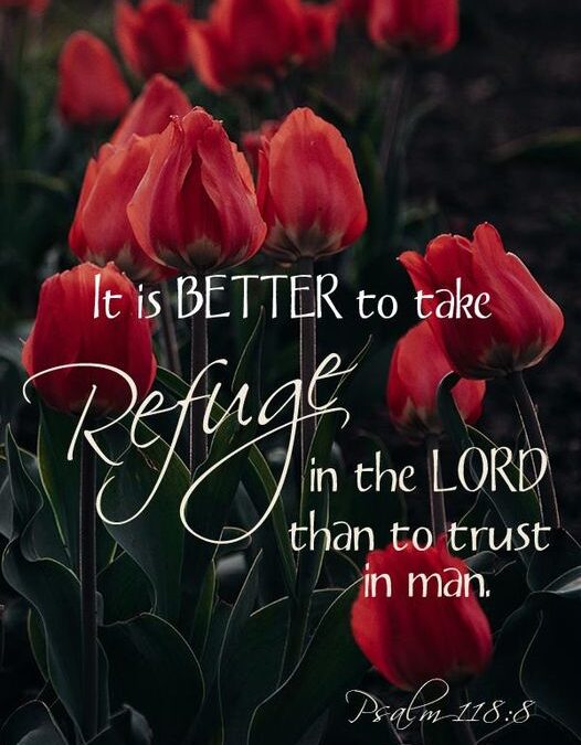 Psalm 118:8