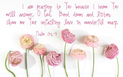 Psalm 17:6-7