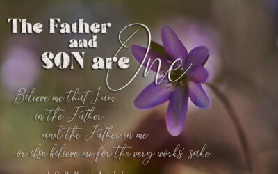 John 14:11