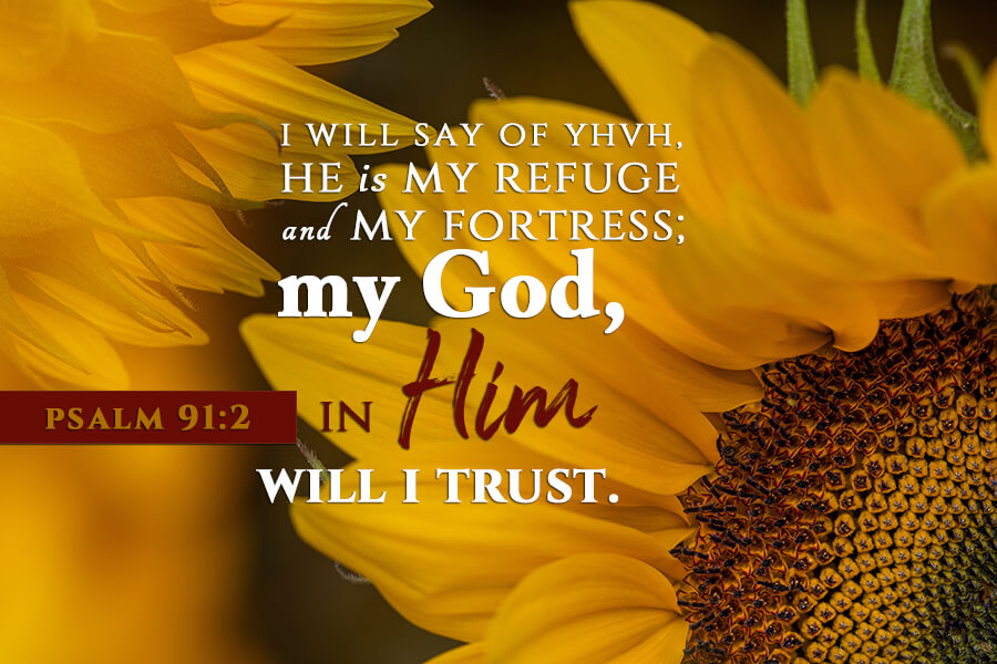 Psalm 91:2