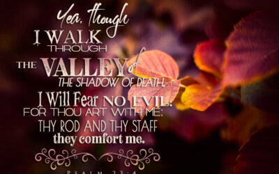 Psalm 23:4