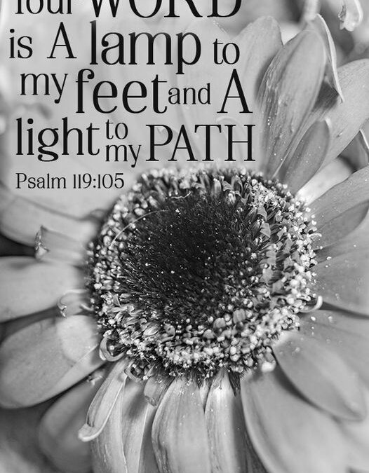 Psalm 119:105