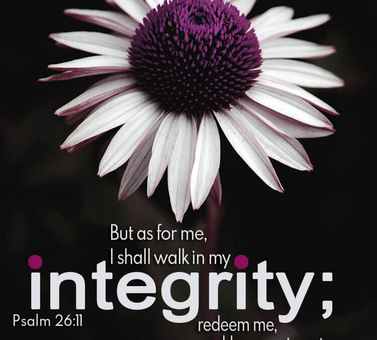 Psalm 26:11