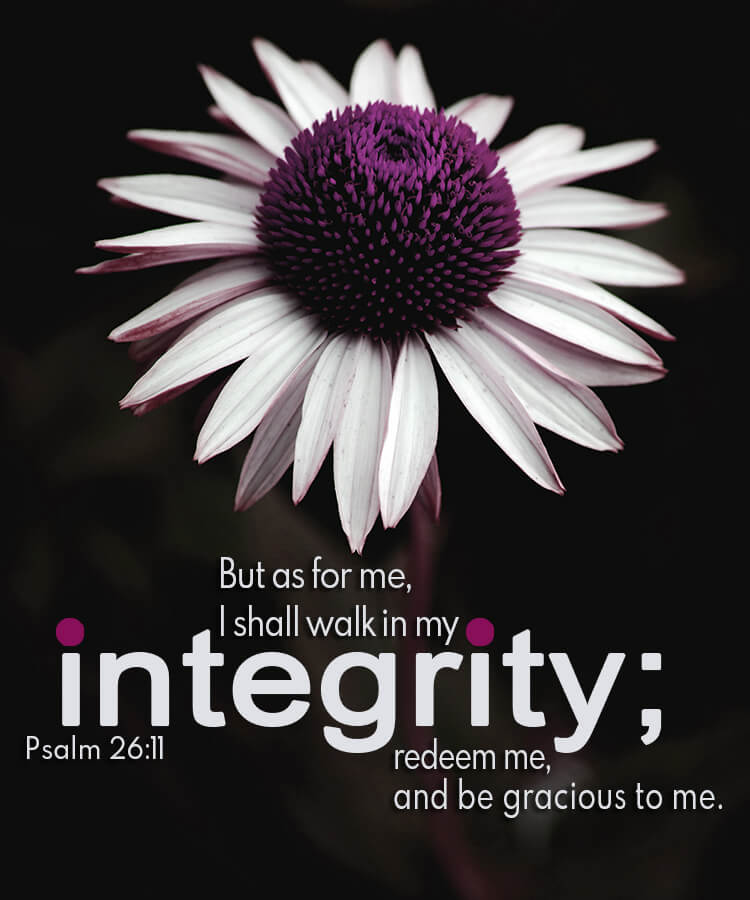 Psalm 26 11 Photos With Gods Word