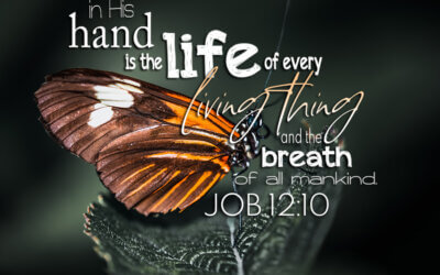 Job 12:10