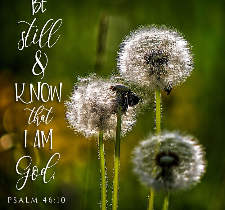 Psalm 46:10