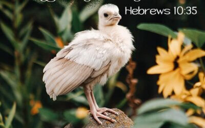 Hebrews 10:35