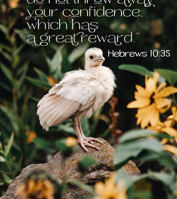 Hebrews 10:35