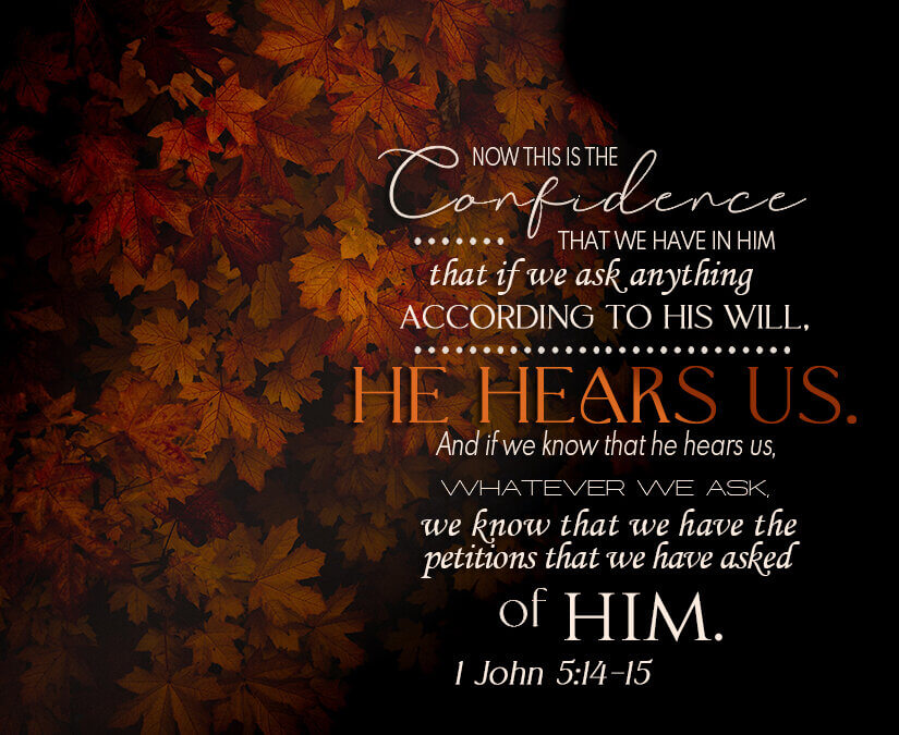 1 John 5:14-15