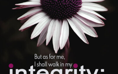 Psalm 26:11