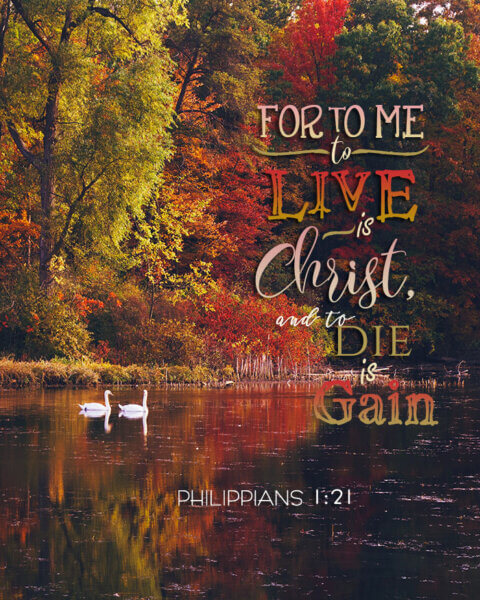 Philippians 1 21 Photos With Gods Word