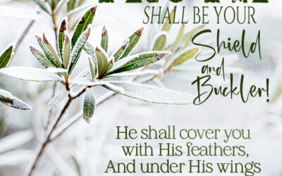 Psalm 91:4