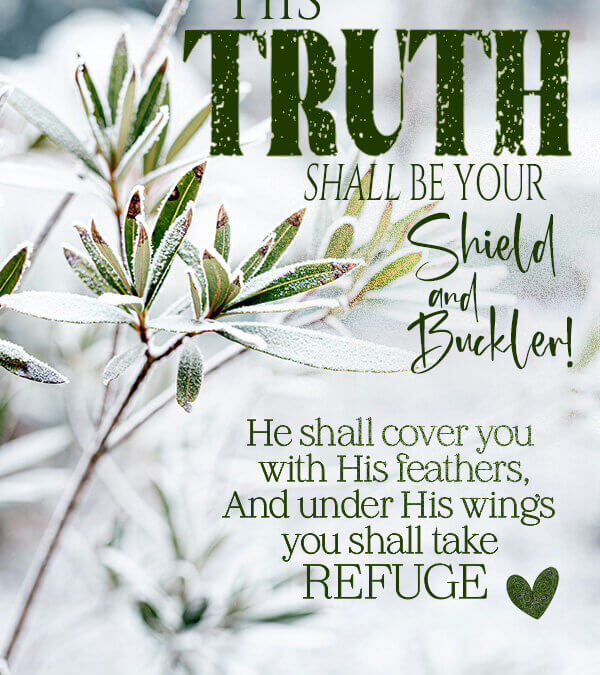 Psalm 91:4