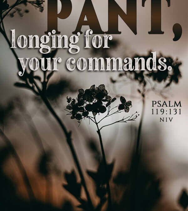 Psalm 119:131