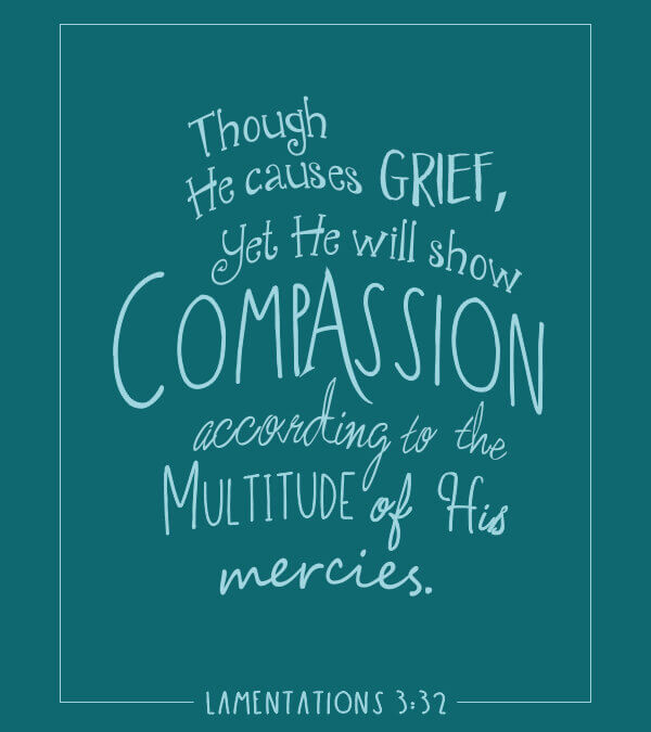 Lamentations 3:32