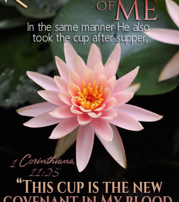 1 Corinthians 11:25