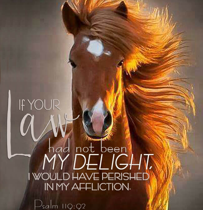 Psalm 119:92