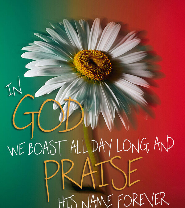 Psalm 44:8