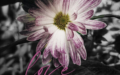 1 Corinthians 13:7