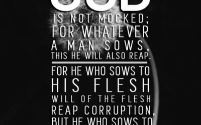 Galatians 6:7-8