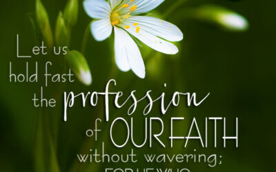 Hebrews 10:23