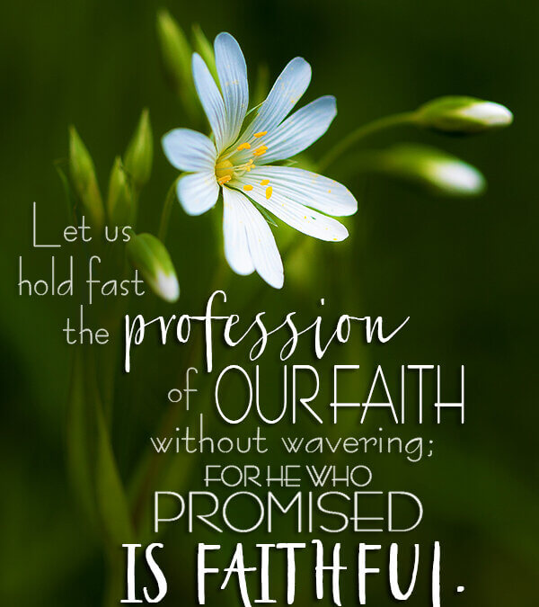 Hebrews 10:23