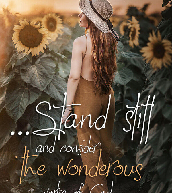 Job 37:14