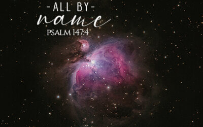 Psalm 147:4