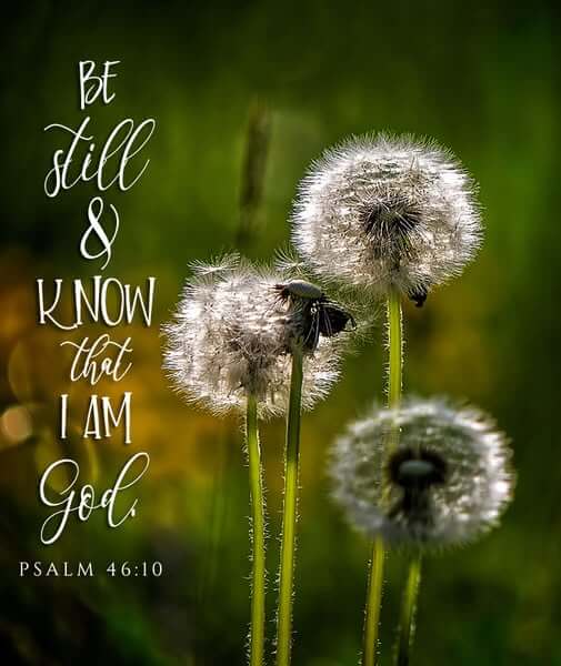 Psalm 46:10