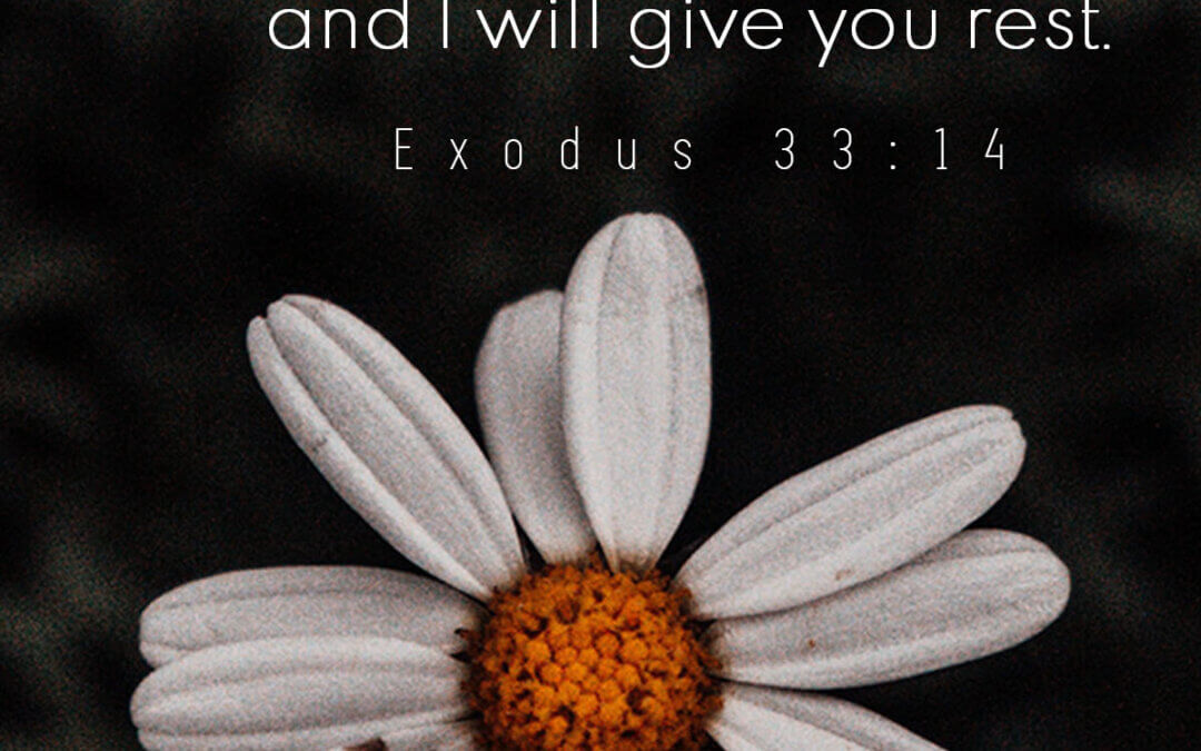 Exodus 33:14