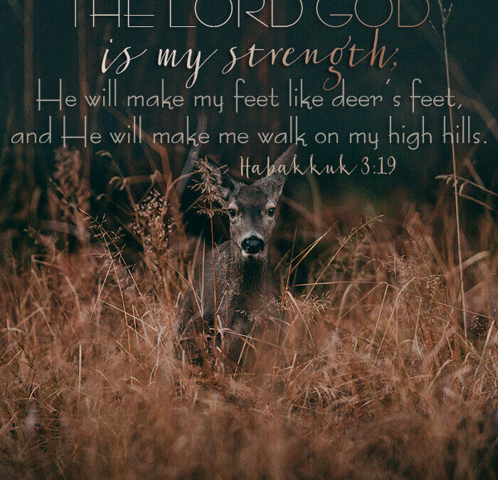 Habakkuk 3:19