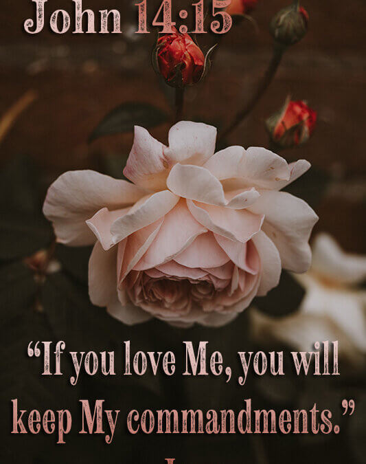 John 14:15