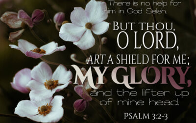 Psalm 3:2-3