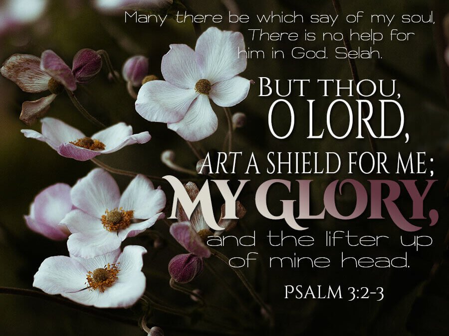 Psalm 3:2-3