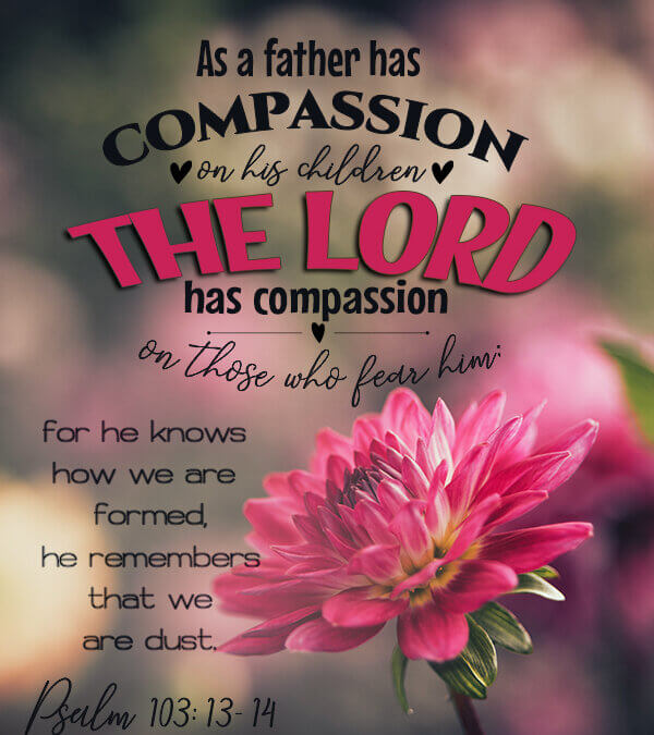 Psalm 103:13