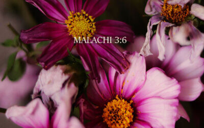 Malachi 3:6