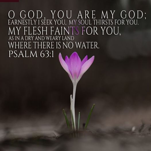 Psalm 63:1