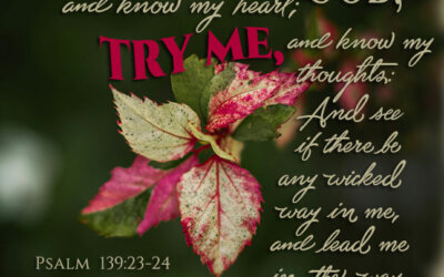 Psalm 139:23-24