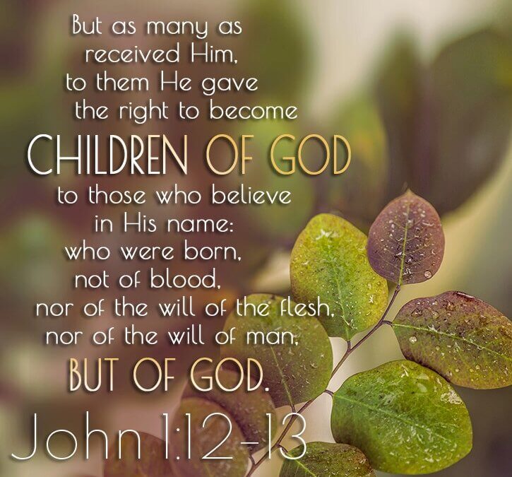 John 1:12-13
