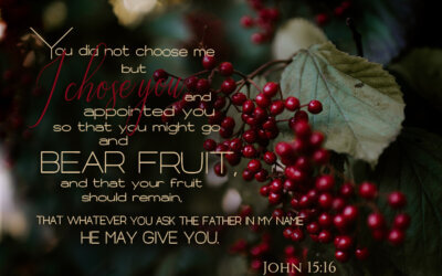John 15:16